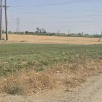 زمین کشاورزی/  ابی /