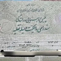فروش تارا خشک 1403