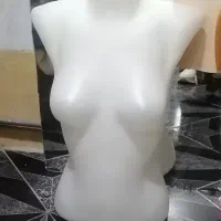 مانکن  بالاتنه پلاستیکی