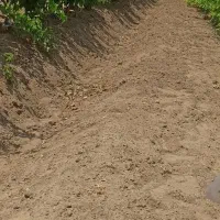 فروش-زمین-1000