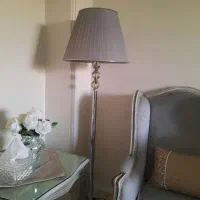 اباژور ایستاده سالم