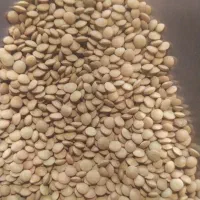 نخود لوبیا عدس سویا برنج چیتی ازبک عمده خورده|خوردنی و آشامیدنی|شیراز, شیشهگری|دیوار