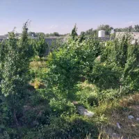 به دو کارگر اتباع سبزی کارنیازمندیم