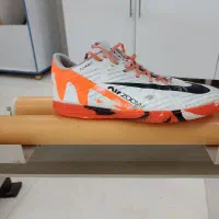 کفش سالنی|کیف، کفش، کمربند|تربت‌حیدریه, باغ سلطانی|دیوار