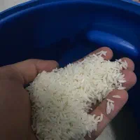 برنج|خوردنی و آشامیدنی|قدس, شهرقدس|دیوار