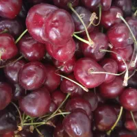 گیلاس با کیفیت