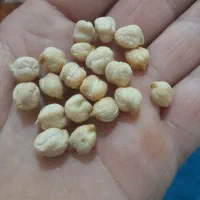 نخود زود پز دروشت