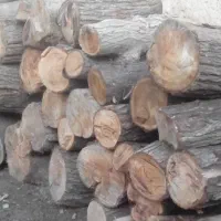 خریدار چوب شما هستیم