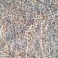 کاه یونجه لوبیا|حیوانات مزرعه|قزوین, |دیوار