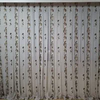 پرده  در حد نو