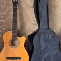 گیتار دیاموند با هاردکیس