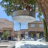 سهره خاکی آخرای لکشه کلام دار بی بی جون قیمت مناسب|پرنده|اصفهان, شیخ اشراق|دیوار