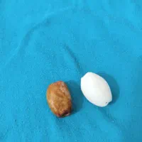 مهره های عتیقه قدیمی با قدمت نزدیک به 300 سال