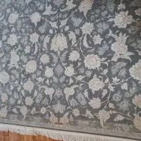 فرش ۹متره رنگ فیلی طوسی|فرش|محمدشهر, محمدشهر|دیوار