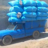 کاه یونجه جو