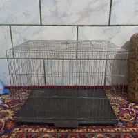 قفس پرنده|لوازم جانبی حیوانات|اهواز, بیست متری شهرداری|دیوار