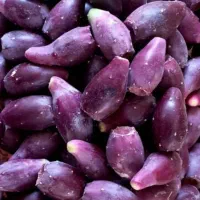 میوه کاکتوس