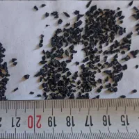 گرانول کامیونی چمن مصنوعی کف پوش