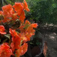 گل و گلدان مصنوعی