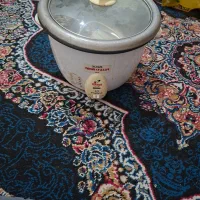 یک عددپلوپز دوکاره درحدنو