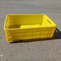 سبد ماهی درجه یک