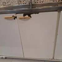 کابینت فلزی  پوسیدگی جزعی باسینک سبد بدون شیر اب|مصالح و تجهیزات ساختمان|تایباد, |دیوار