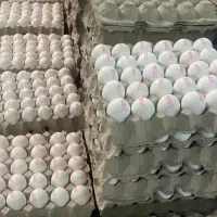 تخم‌مرغ تولید روز تحویل درب مغازه یا منزل120000