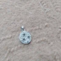 بدلیجات