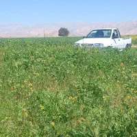 پراید وانت مدل 402