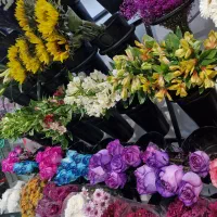 واگزاری مقازه گلفروشی