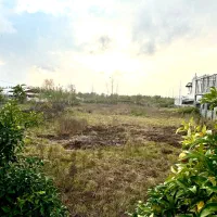 زمین دلباز ۲۵۰۰ متری، فرصت استثنائی سرمایهگذاری|فروش زمین و ملک کلنگی|چاف و چمخاله, |دیوار