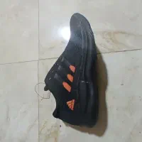 کفش تکی قیمت عمده