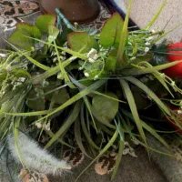 گل قرمز با شاخ و برگ|گل مصنوعی|قم, دروازه قلعه|دیوار