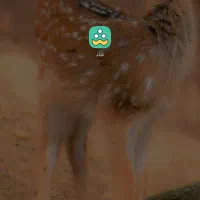 گوشیردمینوت۹