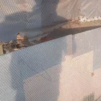 قفس|لوازم جانبی حیوانات|گوگان, |دیوار