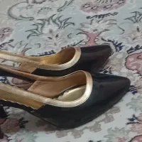 کفش مجلسی