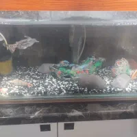 آکواریوم هفتاد سانتی بزرگ وسایل کامل