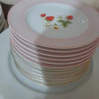 ظروف چینی نو شامل میوه خوری و غذاخوری|ظروف سرو و پذیرایی|نیشابور, فردوس شمالی|دیوار