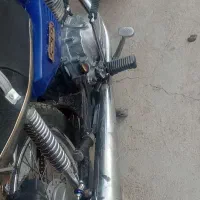 گوسفتدنرفروشی|حیوانات مزرعه|زهک, |دیوار