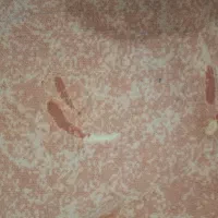 چندین متر موکد به رنگی که در تصویر هست تمیز سالم