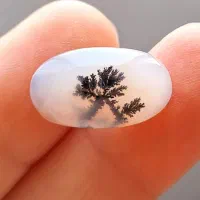 چهار عدد سنگ شجر قائنات|جواهرات|قم, علی آباد|دیوار