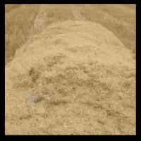 فروش کاه ریز درجه ۱کردستان