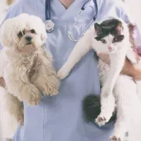 دامپزشک در محل