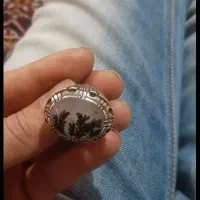 باباقوری|جواهرات|بندرعباس, |دیوار