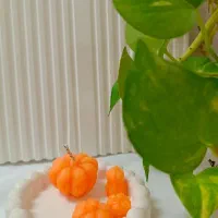 شمع هدیه|صنایع دستی و سایر لوازم تزئینی|قم, آزادگان|دیوار