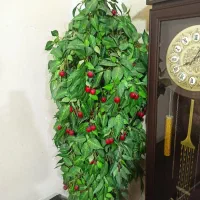 درخت مصنوعی