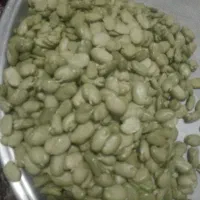 لپه باقالا 240