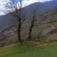 ۳۰۰ متر زمین واقع در مازندران مرزن آباد اغوزداربن|فروش زمین و ملک کلنگی|مرزن‌آباد, |دیوار