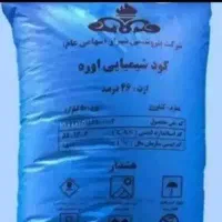 کود کیسه ابی دانه درشت