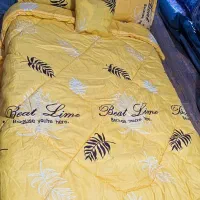 روتختی پیگمنت ۲ نفره|سرویس روتختی|رباط‌کریم, رباط‌کریم|دیوار